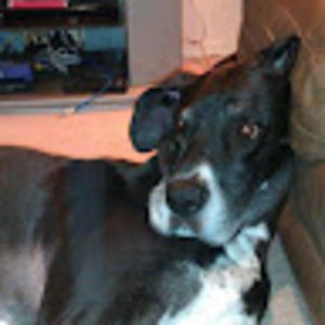 Meet your Posher, Sara m.